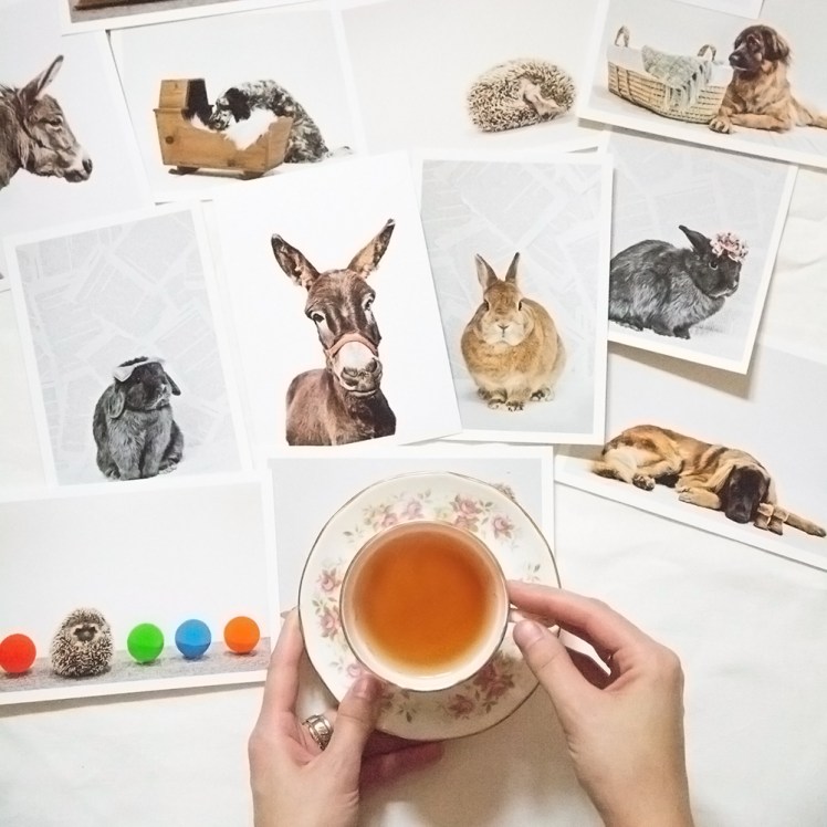 gooseberry-studios-11