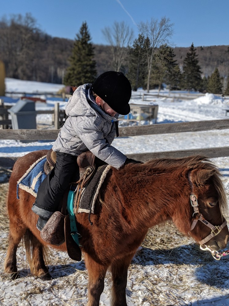 00100dPORTRAIT_00100_BURST20190308160326920_COVER