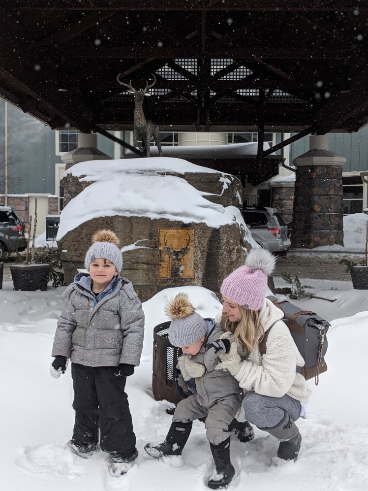 00100dPORTRAIT_00100_BURST20190311115619521_COVER