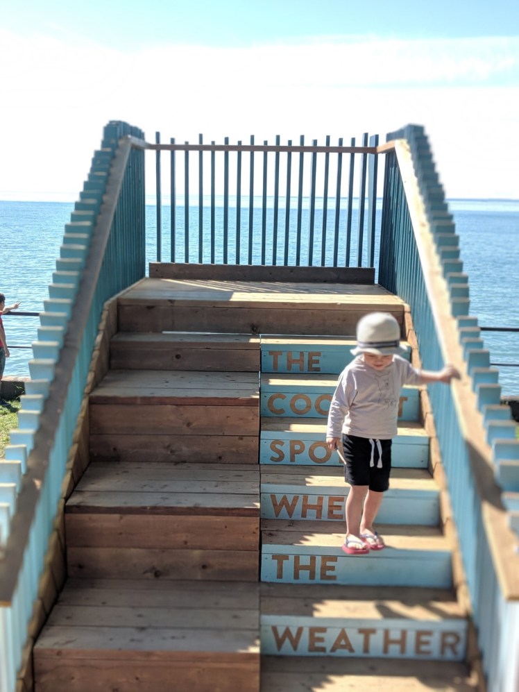 f66610dc-8572-4d8c-943c-58f6a85c37d9